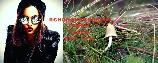 молекула духа Липки