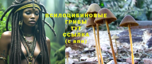 марки nbome Иннополис