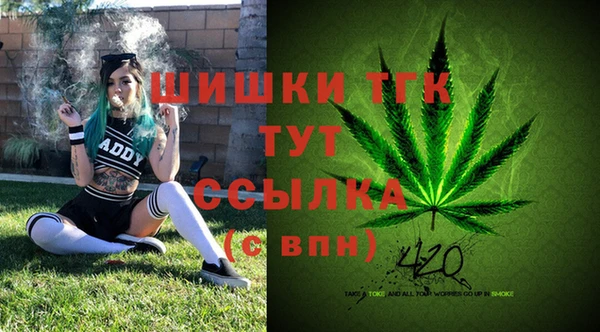 MESCALINE Инта